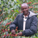 Mchana Estate, Kenya