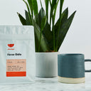 Fórsa Gála Espresso