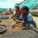 Daye Bensa Rumudamo, a rare Ethiopian lot