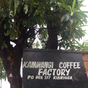 Kamwangi Peaberry, Kenya