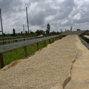 Karani Peaberry, Kenya