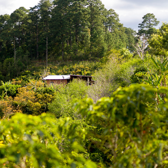 Los Aguacates, Honduras