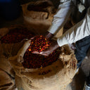Daye Bensa Rumudamo, Ethiopia
